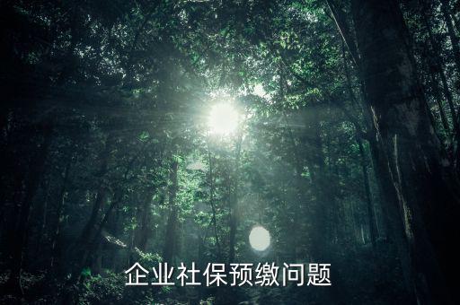 勞務(wù)預(yù)繳需要什么資料，異地提供建筑業(yè)勞務(wù)8月1日預(yù)繳了增值稅預(yù)繳城建稅教育費附加
