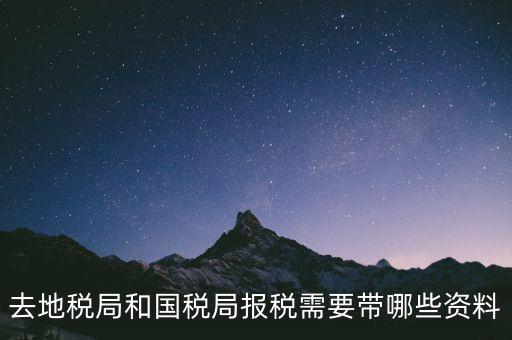 到國稅報(bào)稅需要什么，去地稅局和國稅局報(bào)稅需要帶哪些資料