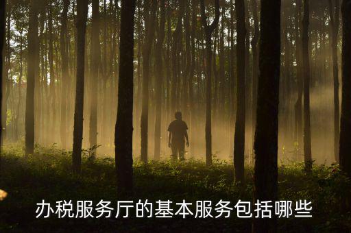 一體化辦稅服務(wù)廳是什么，辦稅服務(wù)廳的基本服務(wù)包括哪些
