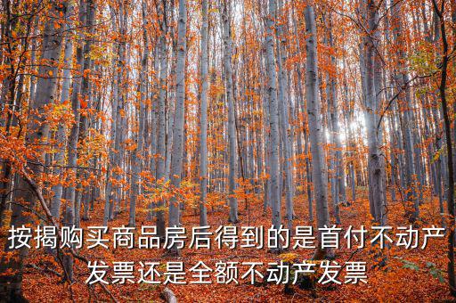 什么是全額不動產(chǎn)發(fā)票，想問一下購房全額發(fā)票到底是什么的侯才開是在交房的時侯還是辦