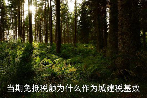 免抵稅額為什么要交城建稅，免抵稅額為什么要負(fù)擔(dān)城建稅和教育費(fèi)附加