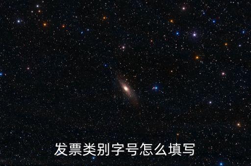 餐飲發(fā)票是什么字體，發(fā)票類別字號(hào)怎么填寫