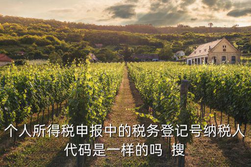 什么是個人稅務號，個人所得稅申報中的稅務登記號納稅人代碼是一樣的嗎  搜