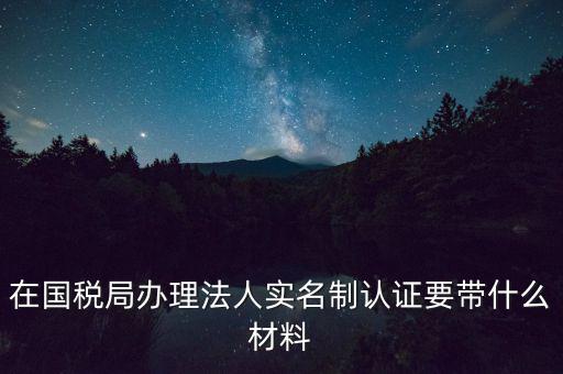 服務(wù)廳實(shí)名辦稅要帶什么，服務(wù)業(yè)辦稅務(wù)登記要些什么證件