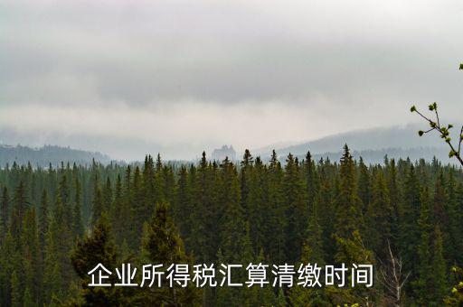 匯算清繳什么時候，個人所得稅匯算清繳的時間一定是次年的3月31日前