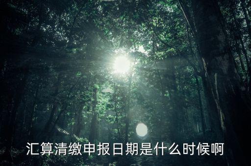 江西省匯算清繳什么時(shí)候開始，所得稅匯算清繳的時(shí)間一般是在什么時(shí)候呢是每年都必須要做嗎