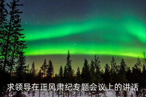正風肅紀講話什么意思，求領導在正風肅紀專題會議上的講話