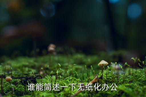 誰(shuí)能簡(jiǎn)述一下無紙化辦公