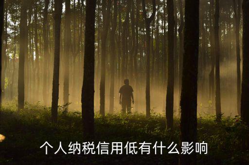 納稅信用記錄是什么，金稅三期納稅信用管理是什么意思