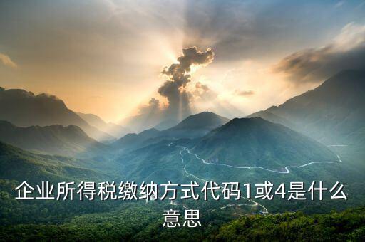 征收代碼是什么意思，工商所開的非稅收入收款收據(jù)上的代碼是什么意思