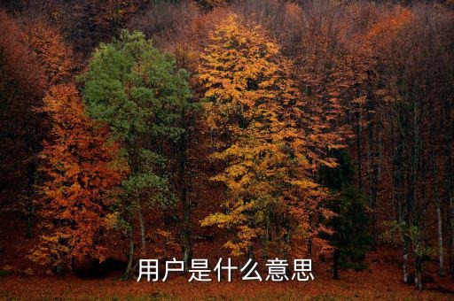 稅局用戶是什么意思，國稅局發(fā)票軟件里用戶代碼和密碼是什么
