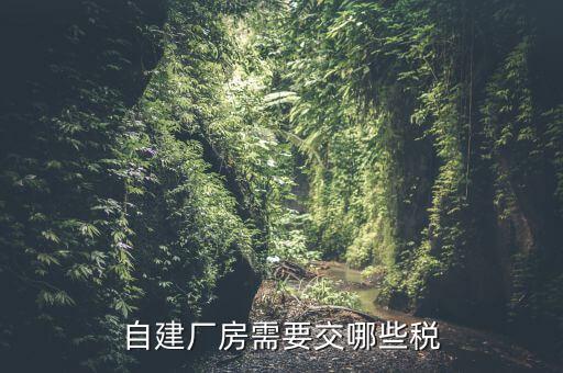 建廠房需要交什么稅，自建廠房需要交哪些稅