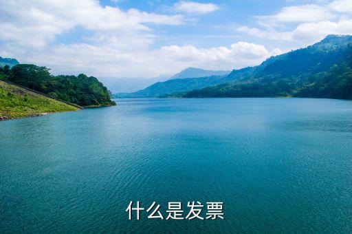默認(rèn)發(fā)票是什么，蘇寧天貓旗艦店默認(rèn)開取什么發(fā)票