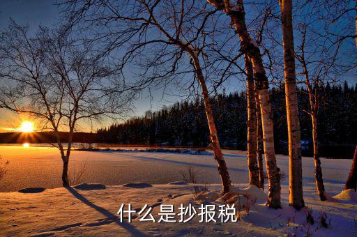 什么是抄稅報(bào)稅申報(bào)，抄稅和報(bào)稅是什么意思 應(yīng)該怎么做呢