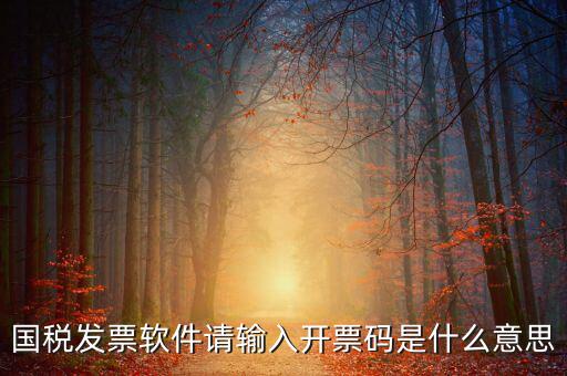 開票二維碼是什么軟件，天津國稅通用機打發(fā)票二維碼包含的內容解碼軟件