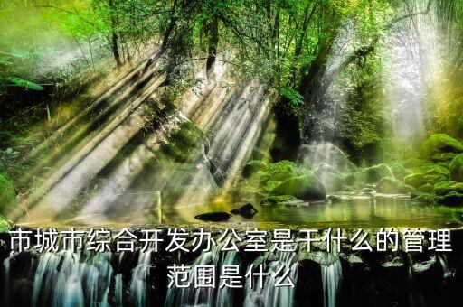 市通發(fā)辦是什么，市兩辦指什么