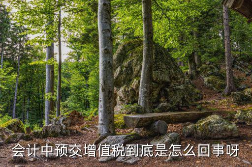 增值稅為什么要預(yù)繳，輔導(dǎo)期增購增值稅發(fā)票為什么要預(yù)繳