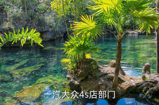 宋蘭去什么部門了，國家稅務(wù)總局的副局長宋蘭身體很豐滿