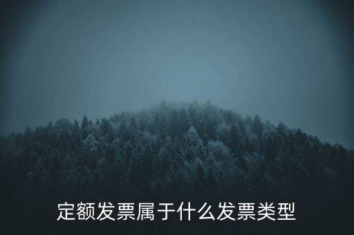 定額發(fā)票什么，河南省地稅定額發(fā)票怎么查詢