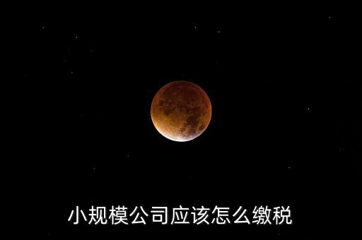 小規(guī)模公司按什么交稅嗎，一個(gè)小規(guī)模納稅公司國(guó)稅和地稅應(yīng)該都分別交什么稅