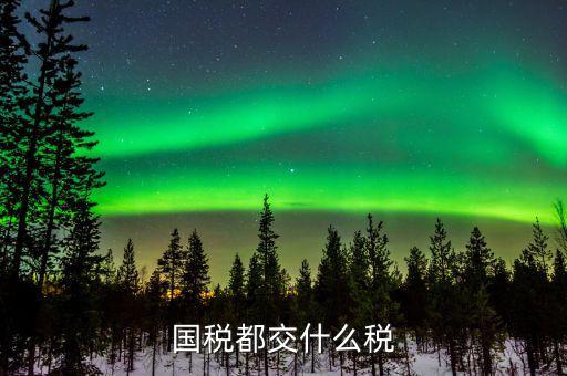 國稅稅費是什么，國稅都交什么稅
