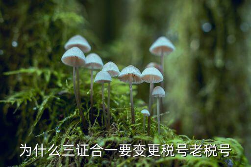 為什么要稅號變更，為什么變更稅號要填增值稅一般納稅人遷移流程表