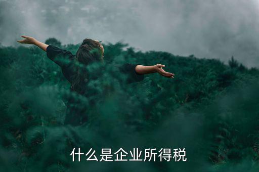 什么是企業(yè)所得稅率，什么是企業(yè)所得稅