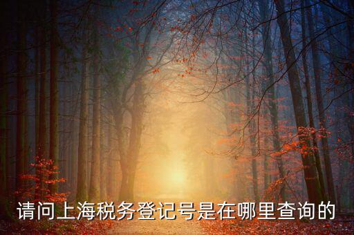 上海的稅務(wù)賬號(hào)是什么，請(qǐng)問(wèn)上海稅務(wù)登記號(hào)是在哪里查詢的