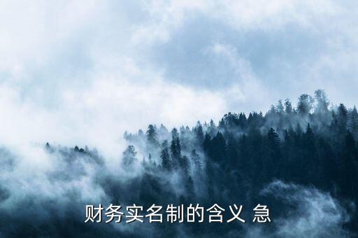 稅務(wù)實(shí)名制是什么意思，財(cái)務(wù)實(shí)名制的含義 急