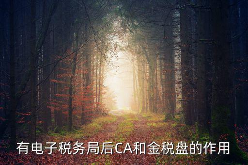 電子稅務(wù)局有什么用，有電子稅務(wù)局后CA和金稅盤的作用