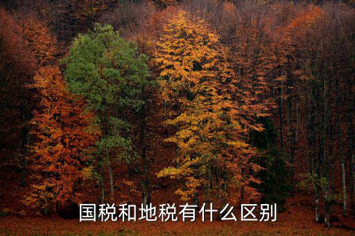 內(nèi)地稅是什么，請(qǐng)問(wèn)地稅開(kāi)的是什么發(fā)票國(guó)稅開(kāi)的又是哪些發(fā)票比如說(shuō)增值稅發(fā)