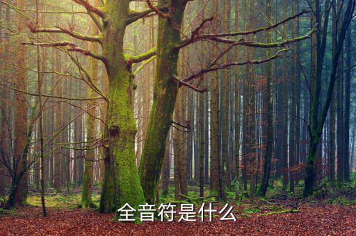 一戶式是什么，服裝SKU是指什么有什么實(shí)際應(yīng)用意義