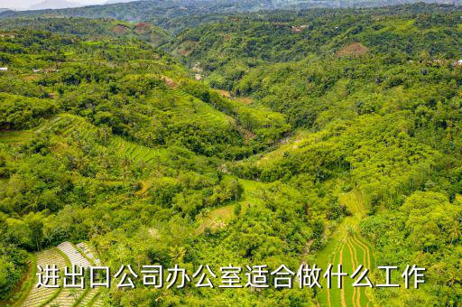 會做進(jìn)出口公司審批備案的找什么工作，進(jìn)出口企業(yè)備案怎么弄找哪個部門