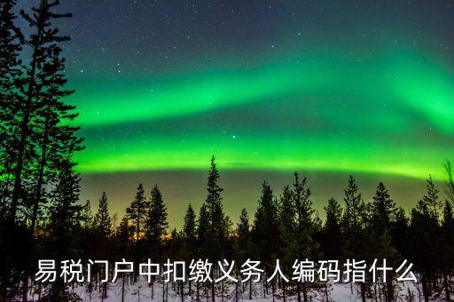 扣繳義務(wù)人識別碼是什么，易稅門戶中扣繳義務(wù)人編碼指什么