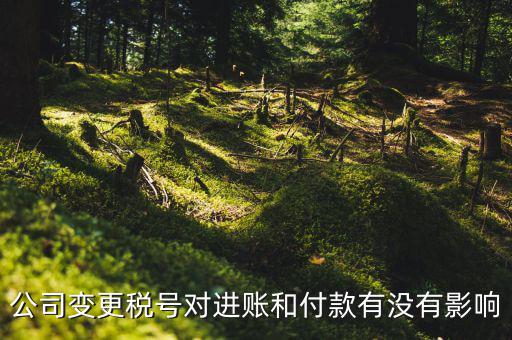 換稅號(hào)注意什么，公司變更稅號(hào)對(duì)進(jìn)賬和付款有沒(méi)有影響