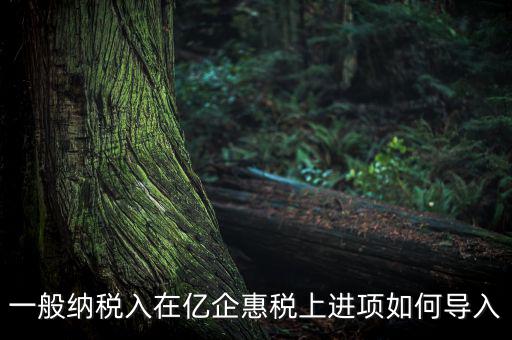 易企惠稅是什么軟件，我們公司就一個(gè)百旺金賦的稅控盤和億企惠稅的網(wǎng)上申報(bào)系統(tǒng)每月怎么