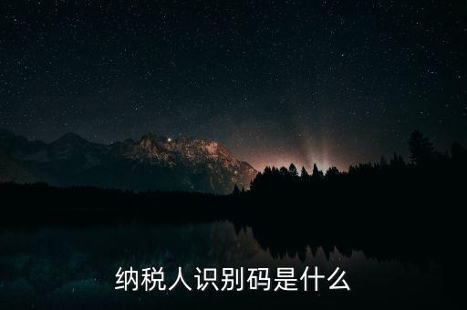 網(wǎng)上報稅納稅人識別碼是什么，納稅人識別碼是什么