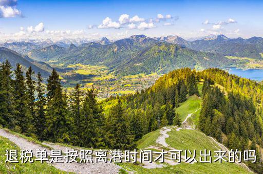 退稅單一般什么時(shí)候下來，退稅單是按照離港時(shí)間才可以出來的嗎