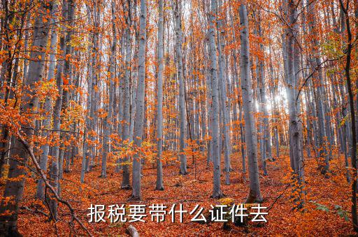 報(bào)稅需要帶什么，你好 到稅務(wù)局報(bào)稅需要帶什么東西怎么報(bào)