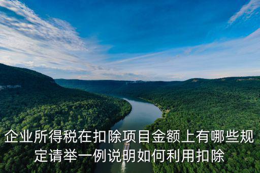 扣除項目金額是什么，應(yīng)稅服務(wù)扣除項目清單中允許扣除項目金額指的是什么是總