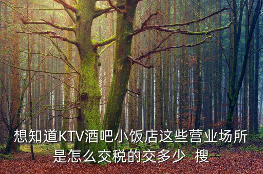 ktv交納什么稅，想知道KTV酒吧小飯店這些營(yíng)業(yè)場(chǎng)所是怎么交稅的交多少  搜