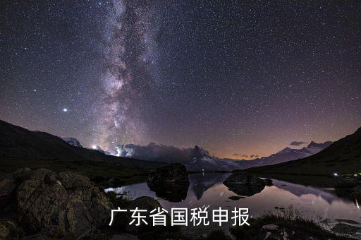 廣東省國稅2號(hào)窗是什么，廣州國稅網(wǎng)2號(hào)窗口查詢區(qū)可以查詢什么信息