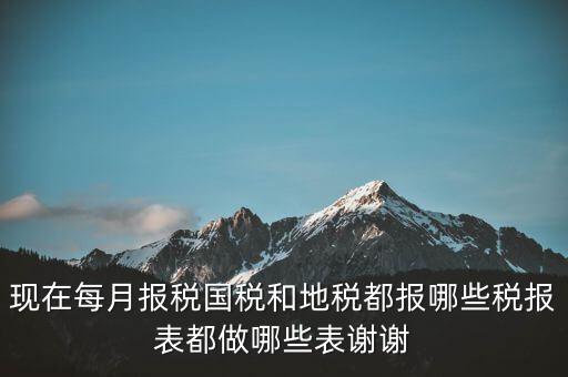 國(guó)稅報(bào)什么，現(xiàn)在每月報(bào)稅國(guó)稅和地稅都報(bào)哪些稅報(bào)表都做哪些表謝謝