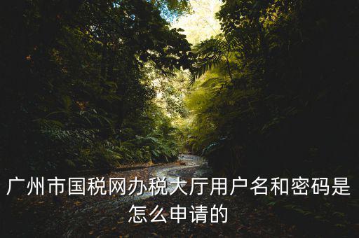 廣州國(guó)稅官網(wǎng)登錄密碼是什么原因，國(guó)稅第一次網(wǎng)上申報(bào)的登陸密碼是什么