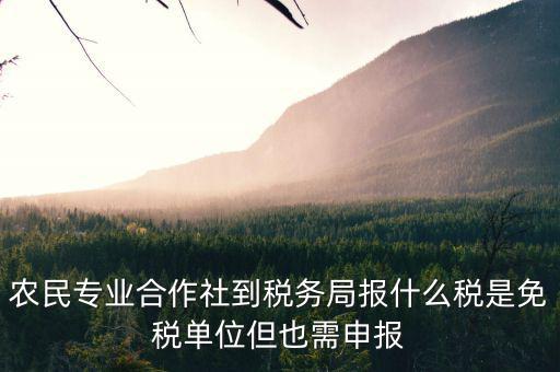 合作社應(yīng)報(bào)什么稅，農(nóng)民專業(yè)合作社是怎樣報(bào)稅的是企業(yè)還是個(gè)體戶