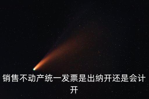 銷售不動產(chǎn)統(tǒng)一發(fā)票是出納開還是會計(jì)開