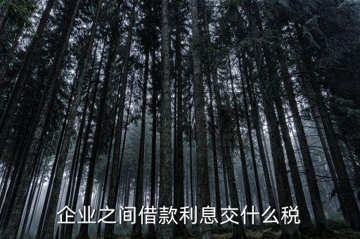 公司借款涉及到什么稅，借款要交什么稅