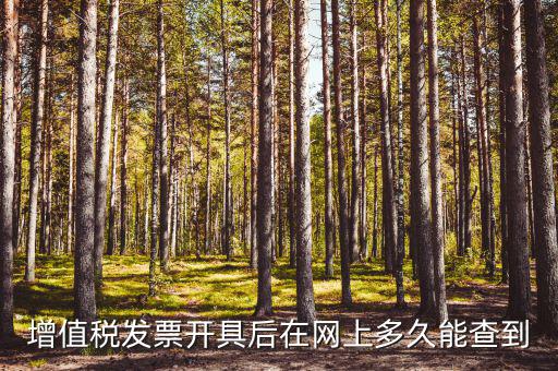 增值稅發(fā)票開(kāi)具后在網(wǎng)上多久能查到