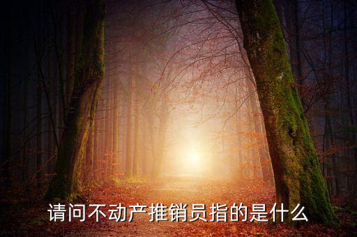 銷售不動(dòng)產(chǎn)指的是什么意思，什么是銷售不動(dòng)產(chǎn)