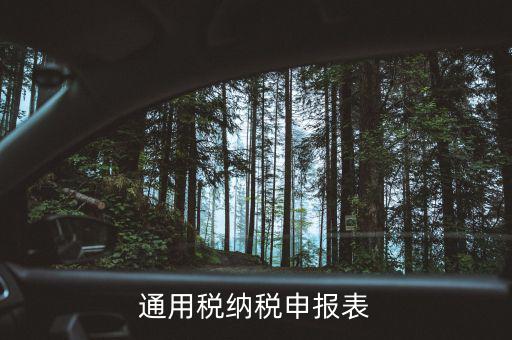 通用申報(bào)表稅是什么，通用稅納稅申報(bào)表